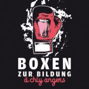 (c) Boxenzurbildung.ch